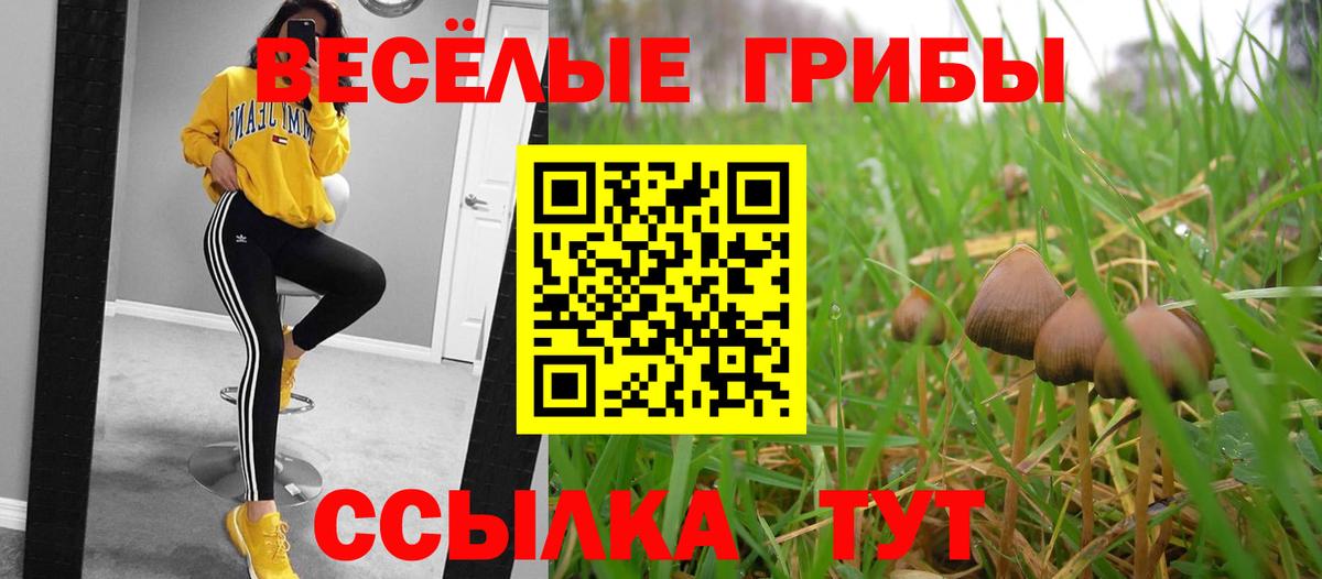 Псилоцибиновые грибы Cubensis  Вход с VPN  Псилоцибиновые грибы мицелий  Кызыл 