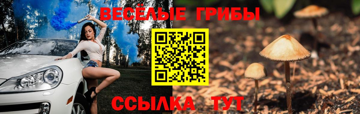 Псилоцибиновые грибы прущие грибы Кызыл